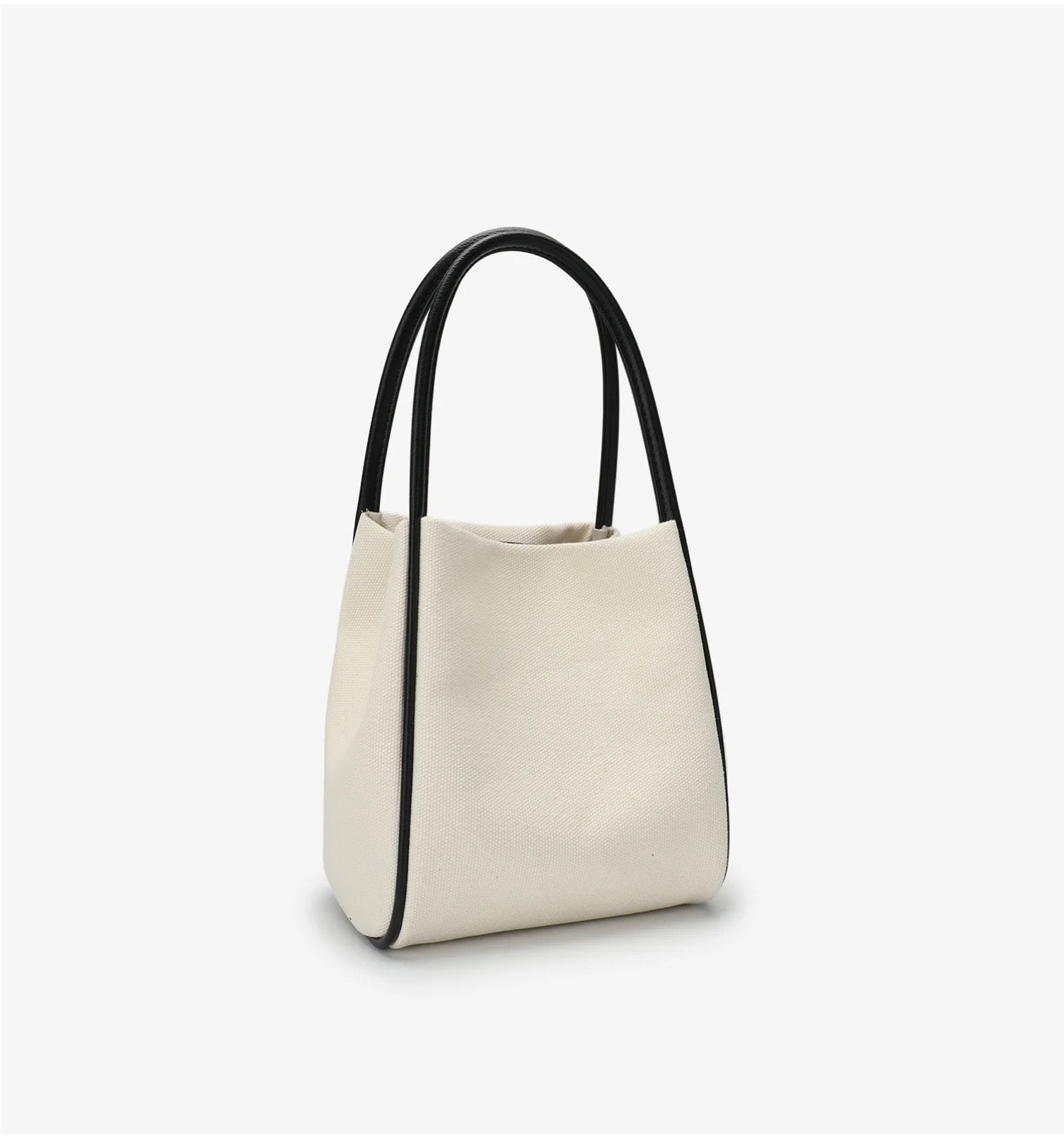 REMI/REID Hollace Canvas Mini Tote