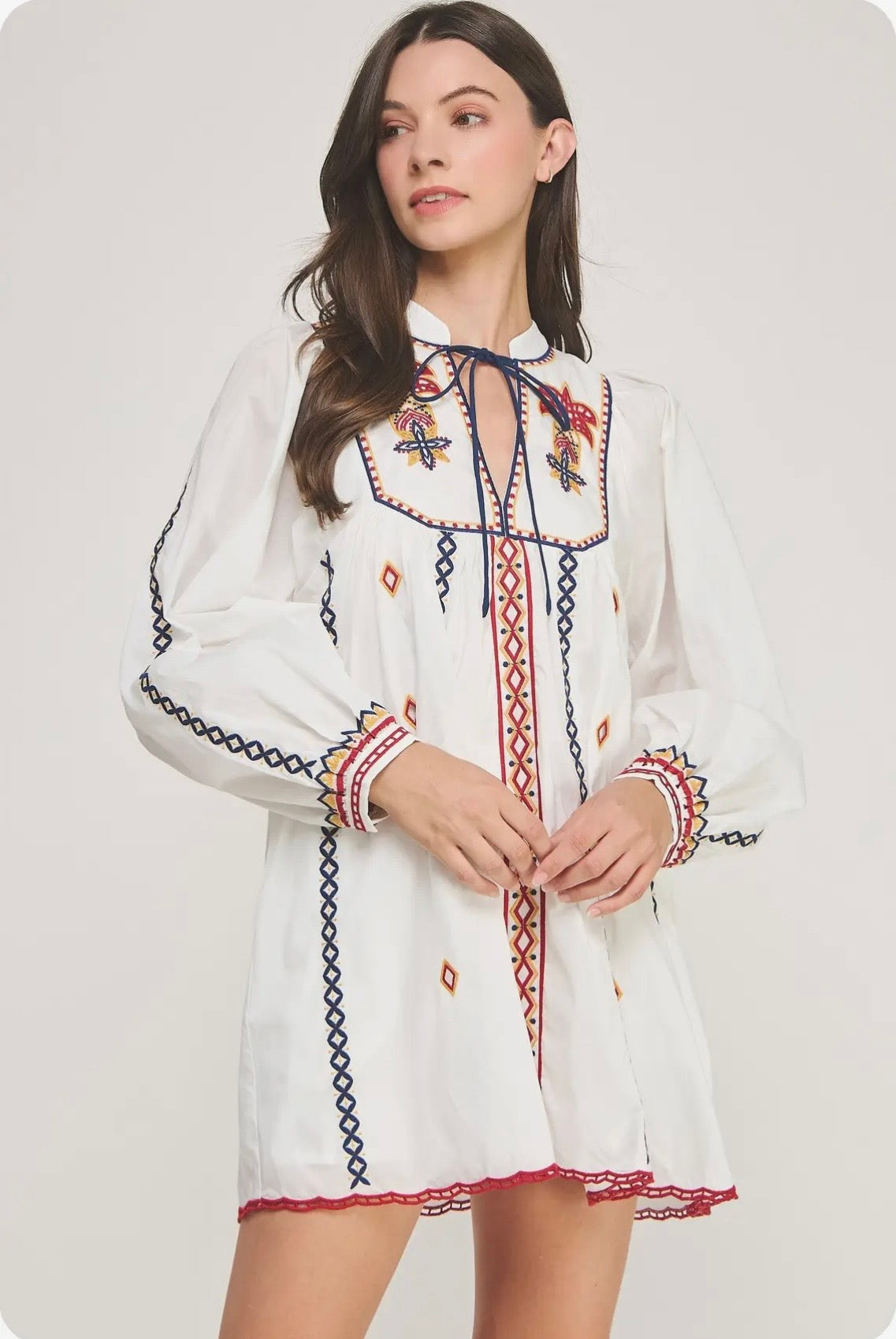 Strut & Bolt Embroidered Mini Dress