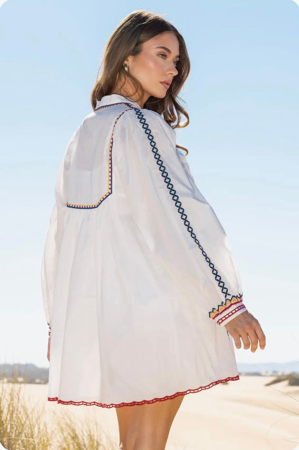Strut & Bolt Embroidered Mini Dress