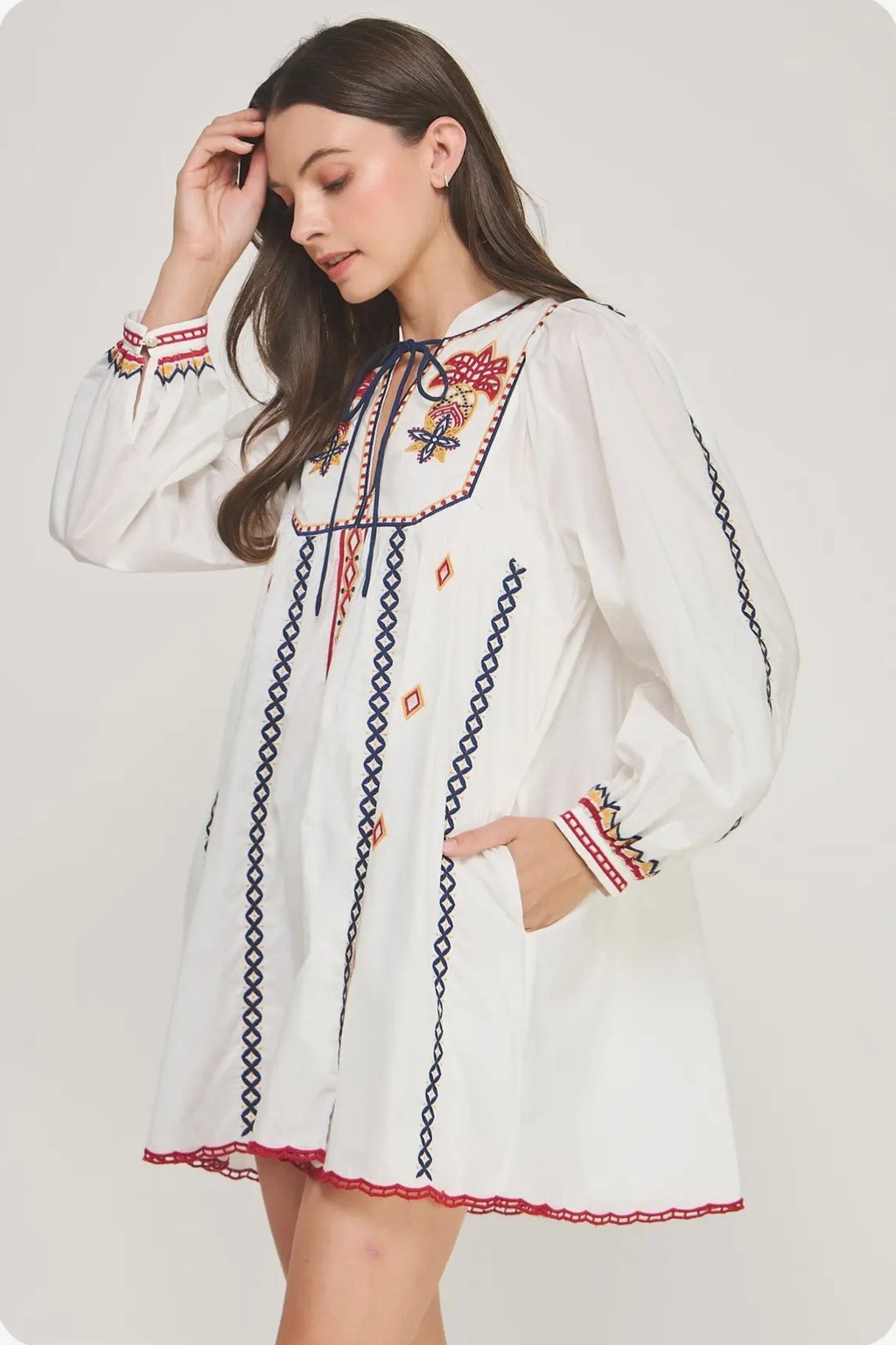 Strut & Bolt Embroidered Mini Dress